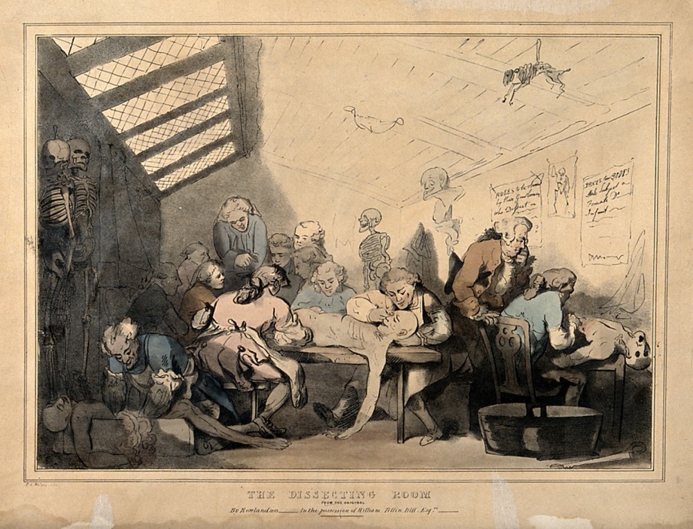 Three anatomical dissections taking place in an attic. Coloured lithograph by T. C. Wilson after a pen and wash drawing by T. Rowlandson. The scene shows a corpse spilling out of a box with intestines dangling out of it, cramped conditions and a rapidly decaying body still being anatomised. Credit: Wellcome Collection.